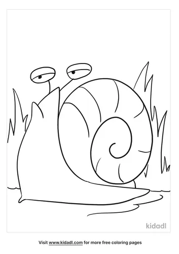 snail coloring page_2_lg.png