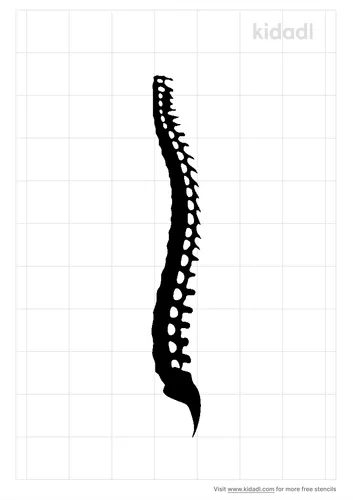 spinal-cord-stencil.png