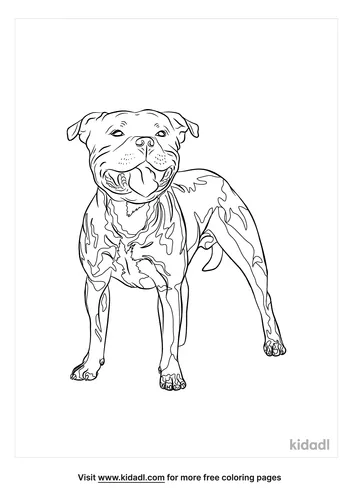 staffordshire-bull-terrier-coloring-page