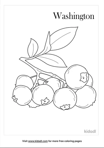 state-coloring-pages-1-lg.png