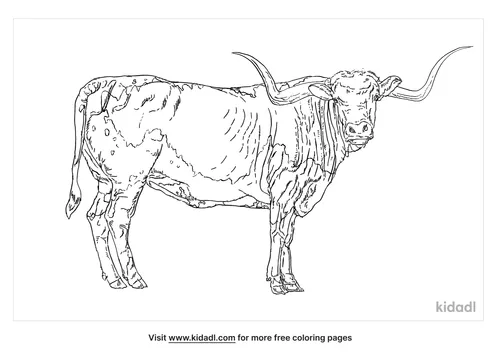 texas-longhorn-coloring-page