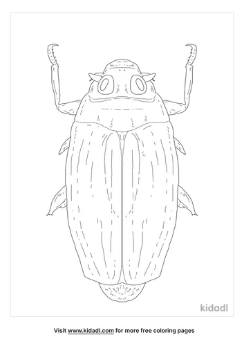 whirligigs-beetle-coloring-page