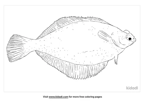 yellowtail-flounder-coloring-page