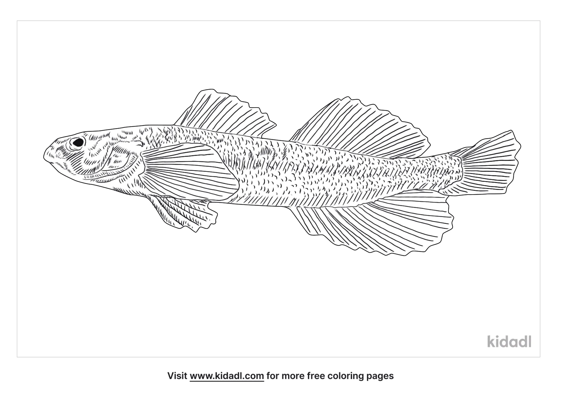 Snail Darter Coloring Page