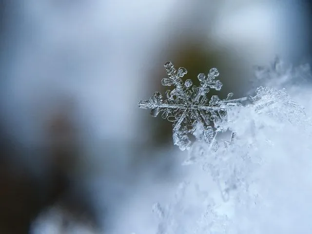 Learn some very interesting snowflake facts with us today!