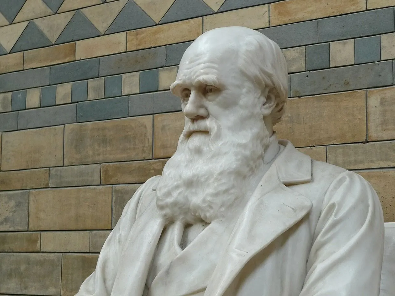 Today, there have been more than 250 species and many higher groups who have Darwin’s name.