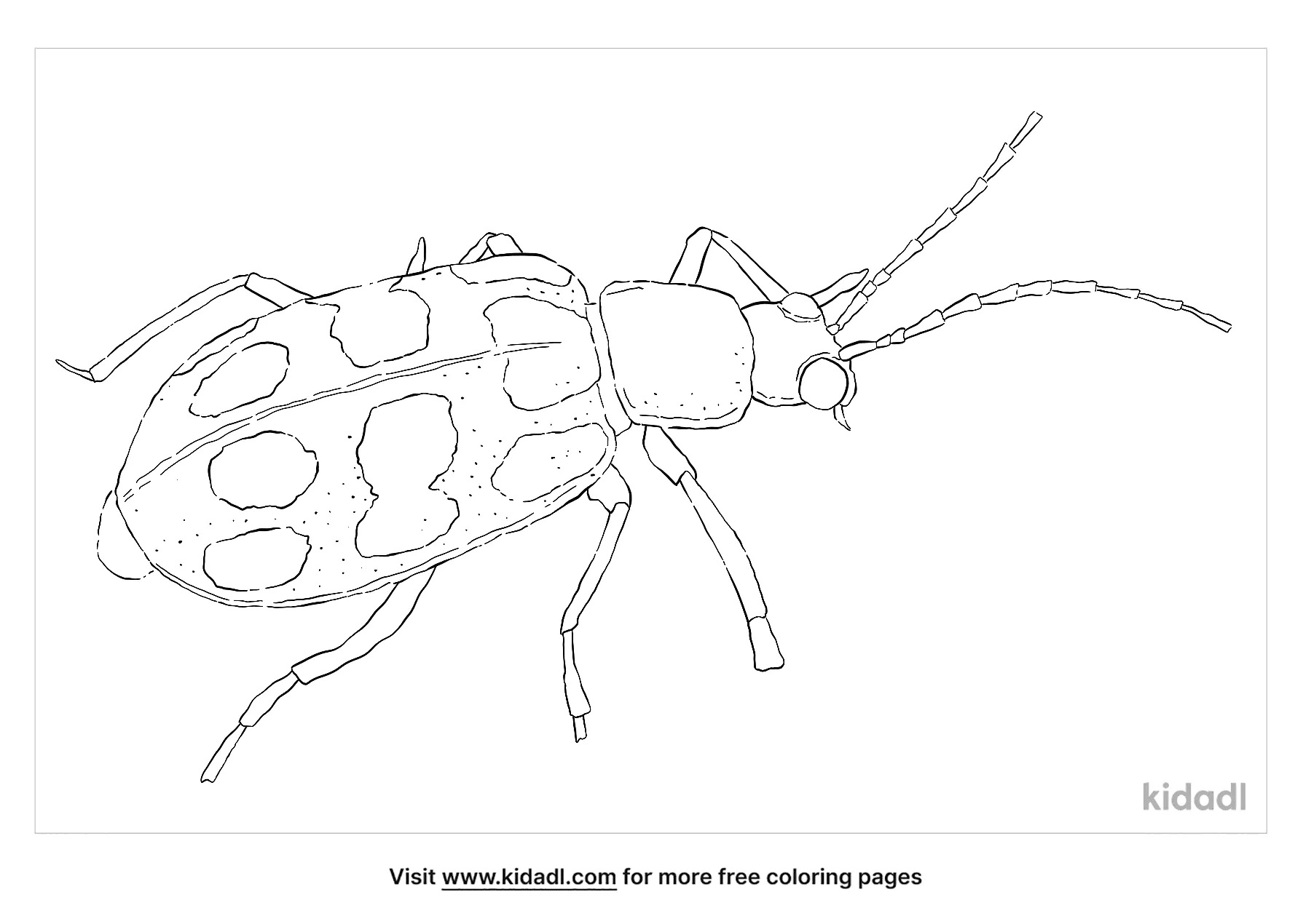 Spotted Cucumber Beetle Coloring Page