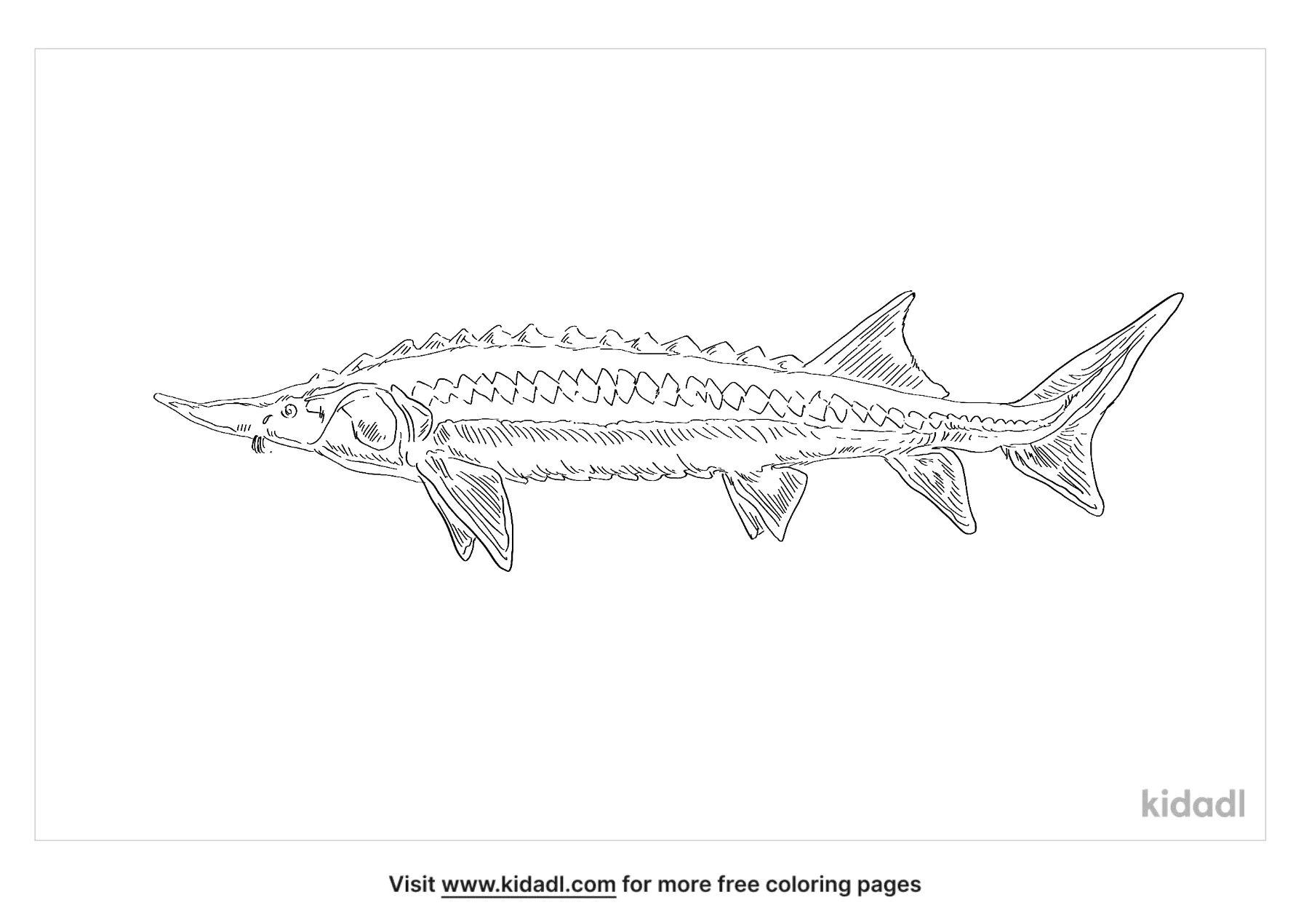Starry Sturgeon Coloring Page