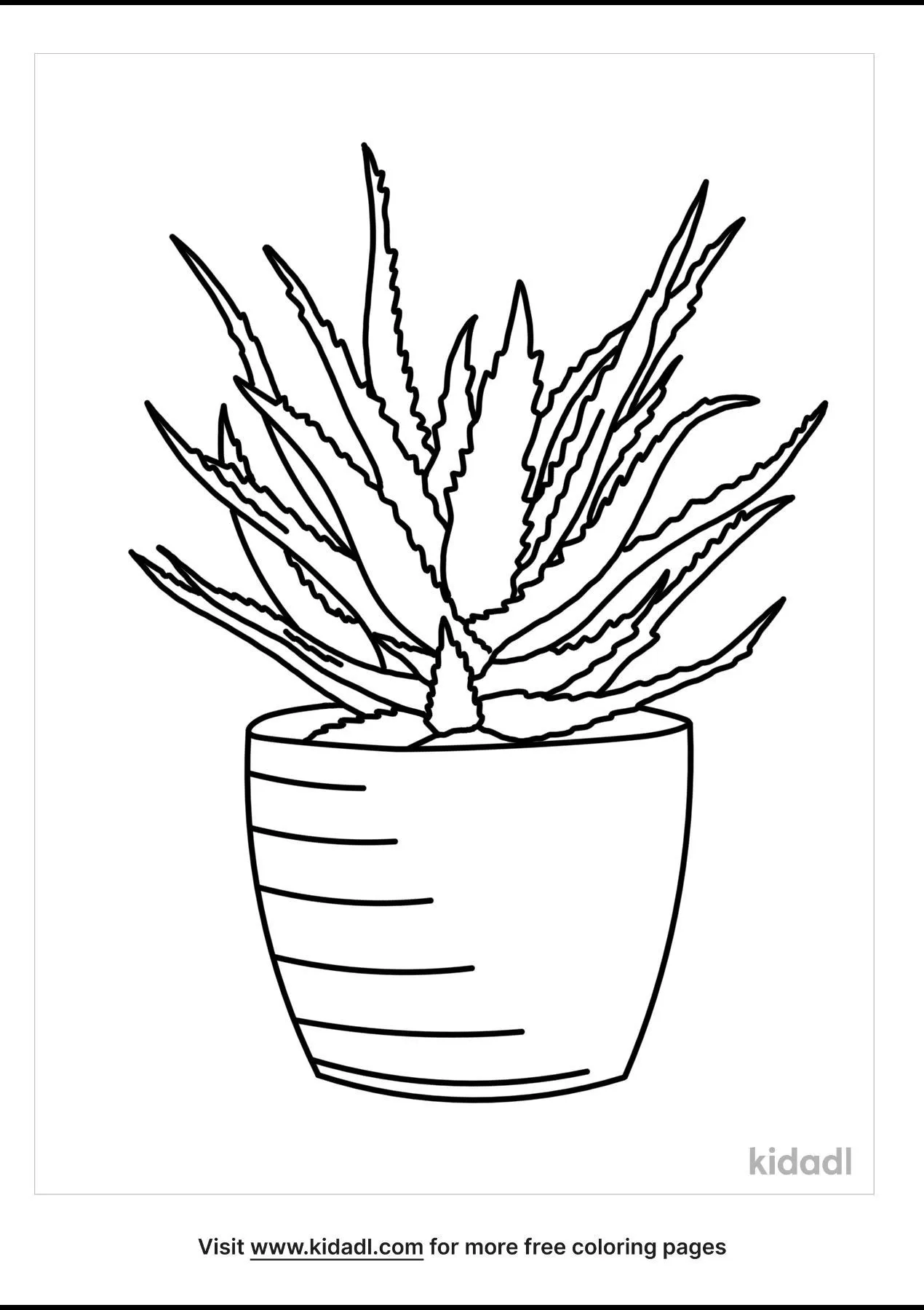 Succulent Coloring Pages Free Plants Coloring Pages Kidadl