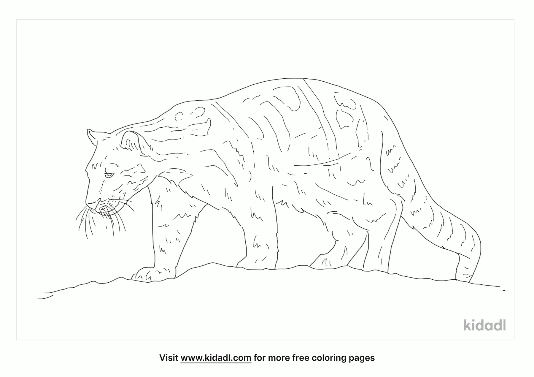 Sunda Clouded Leopard Coloring Page