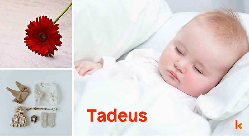 Meaning of the name Tadeus