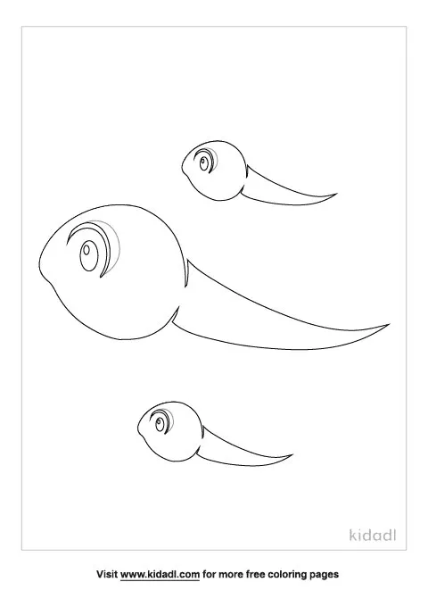 tadpole coloring pages