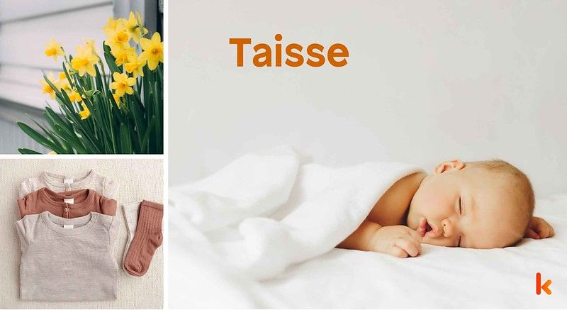 Meaning of the name Taisse
