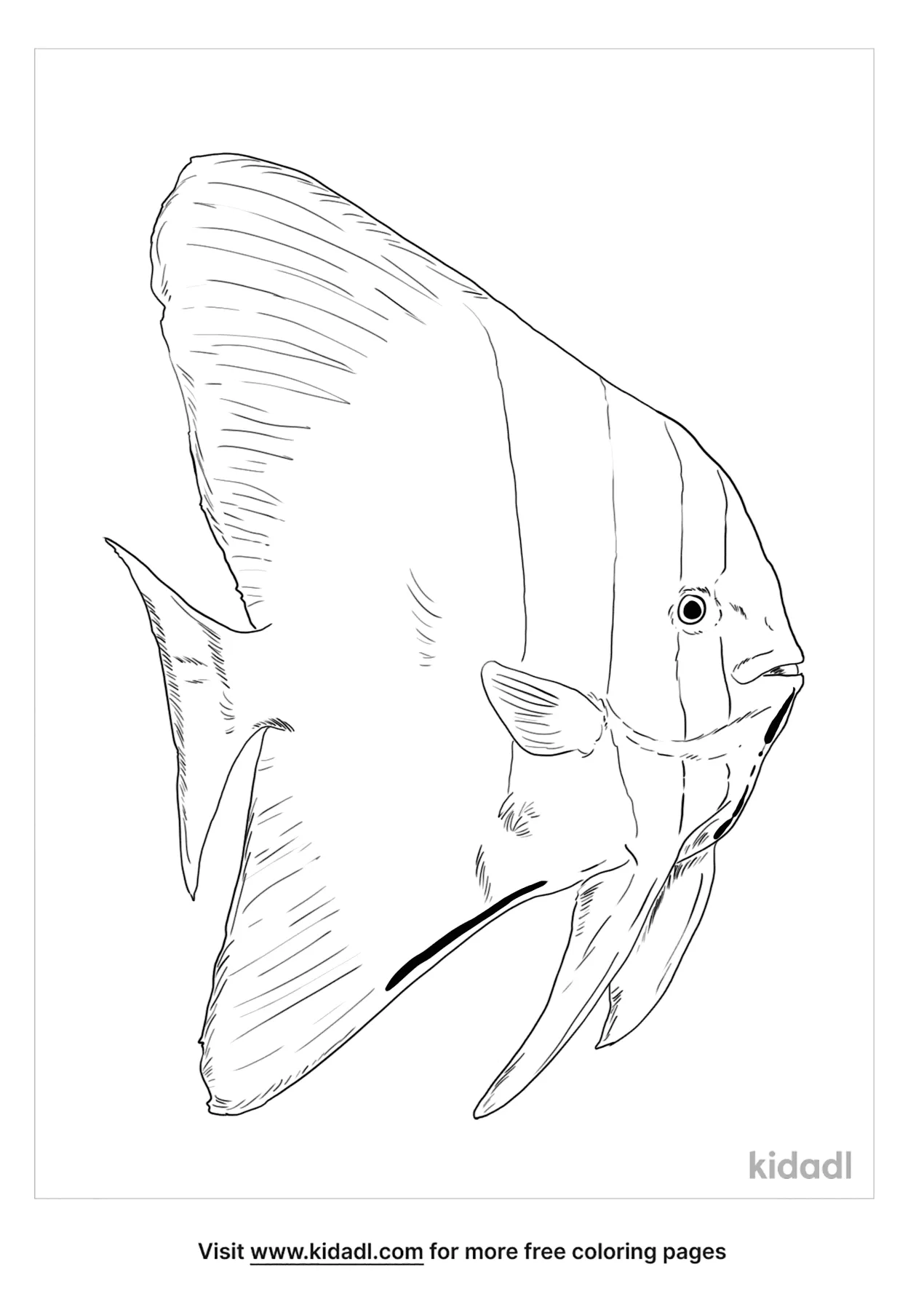 Teira Batfish Coloring Page