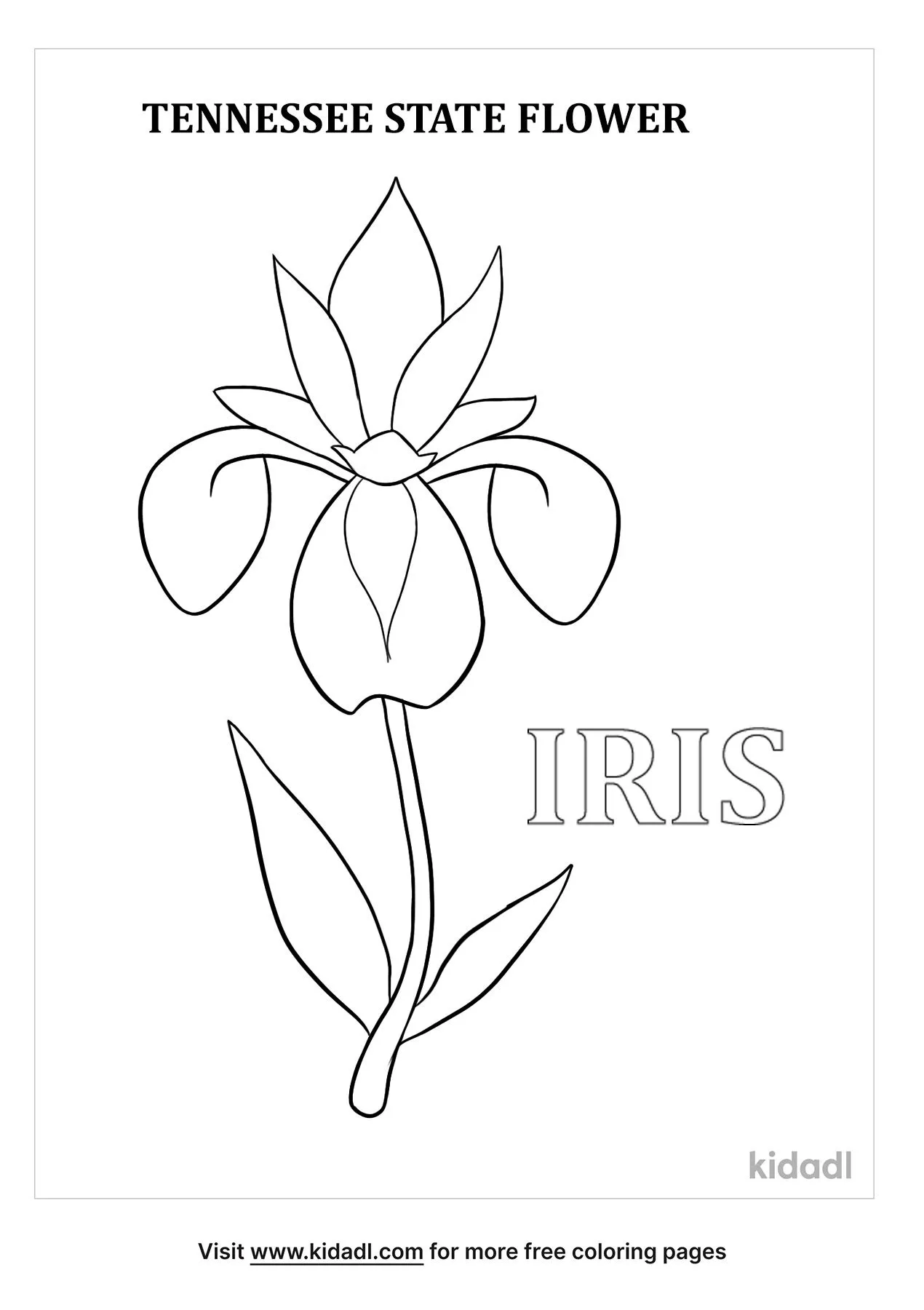 Free Kids Tennesse Coloring Pages