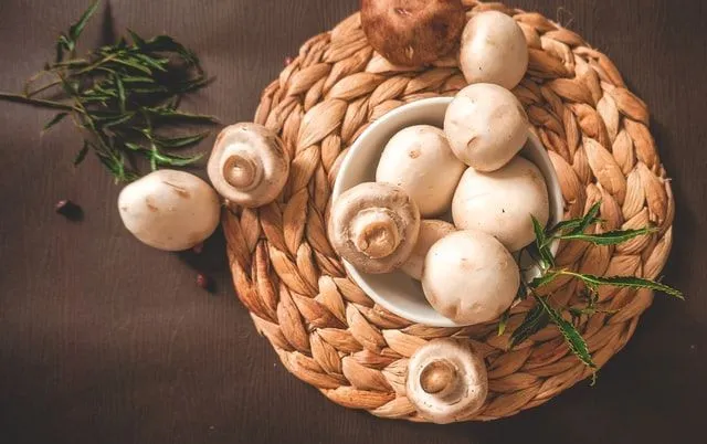 Mushrooms are delicious while also having a lot of health benefits. Consuming them will definitely improve your life