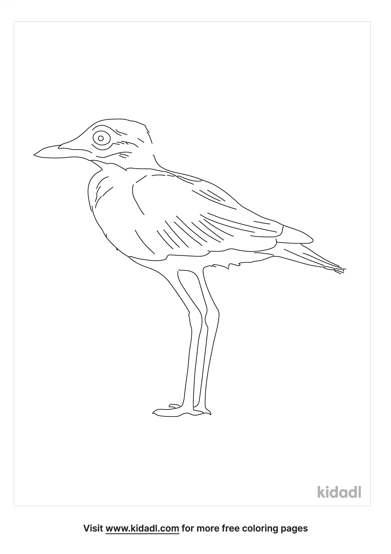 coloring pages of chinas bird