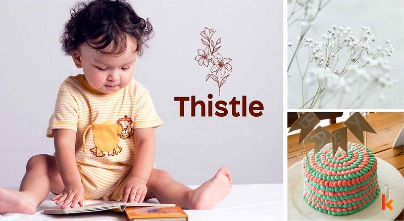 Meaning of the name Thistle
