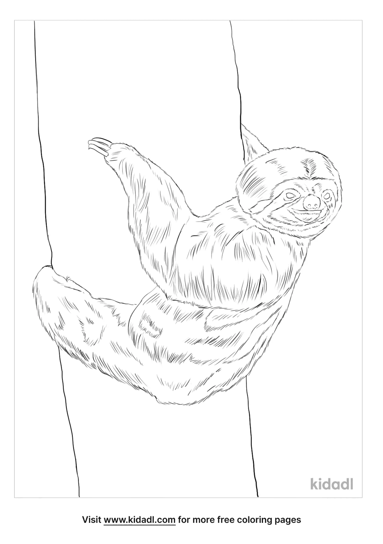Three Toed Sloth Coloring Page