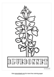 Bluebonnet Coloring Pages Free Flowers Coloring Pages Kidadl