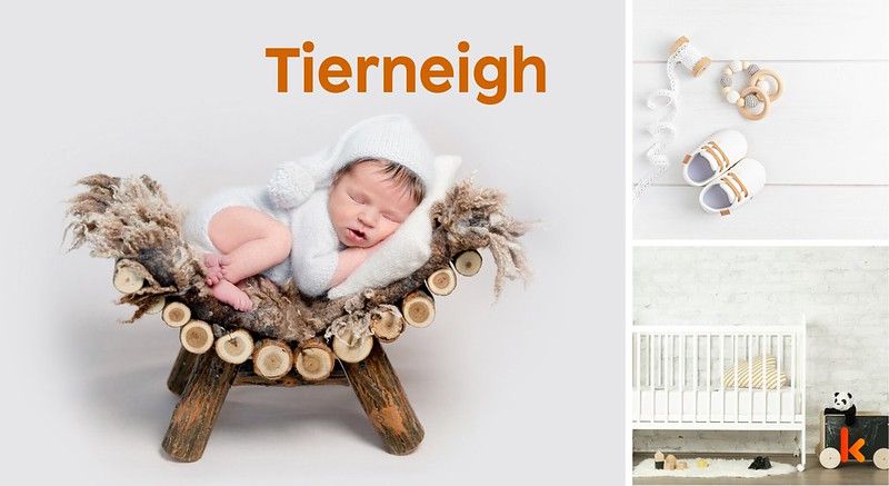 Meaning of the name Tierneigh
