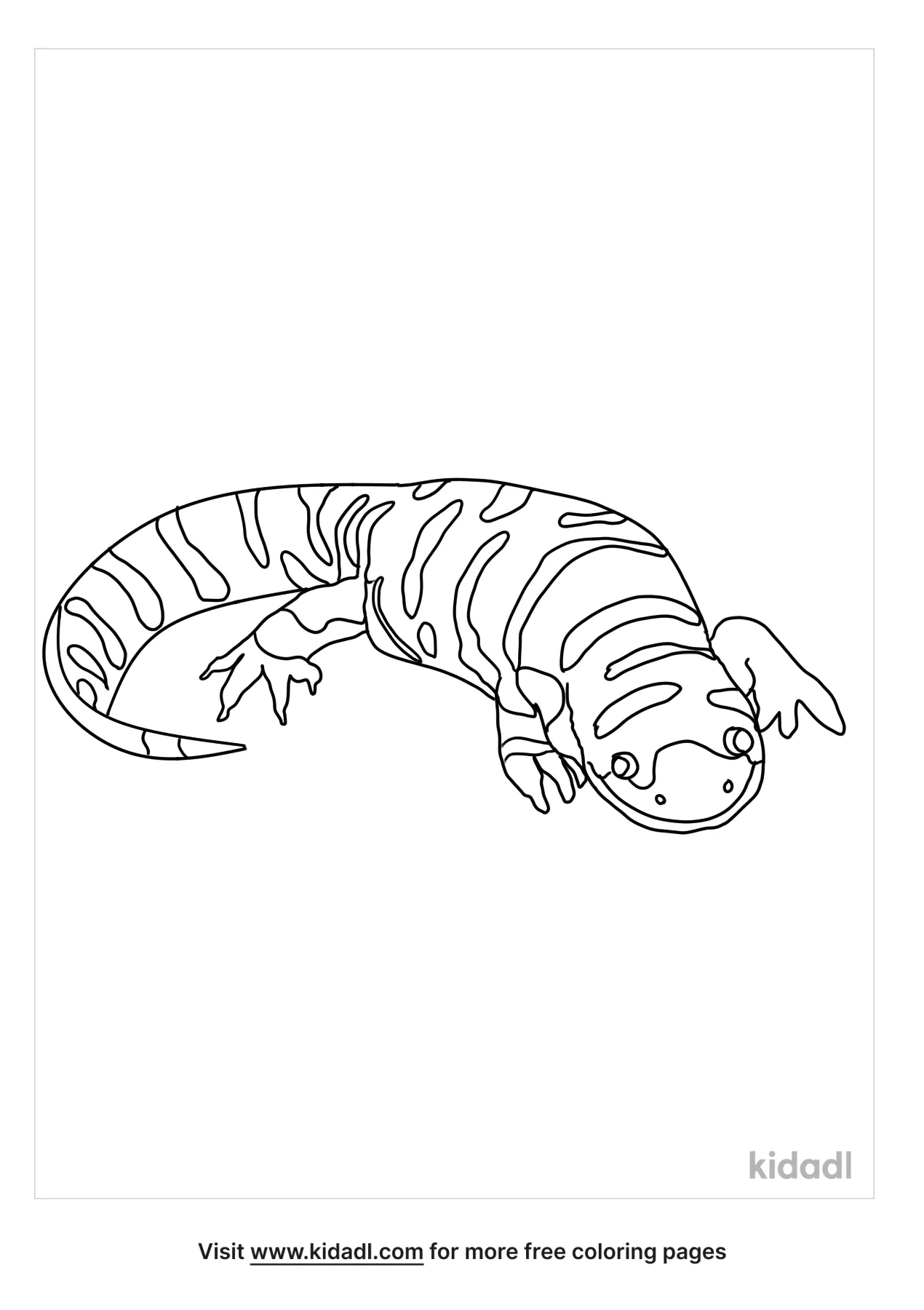 Tiger Salamander Coloring Page
