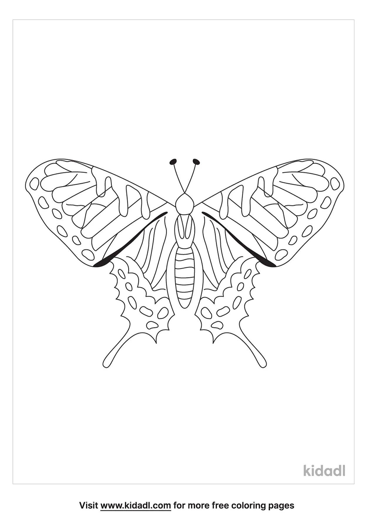 Tiger Swallowtail Butterfly Coloring Page