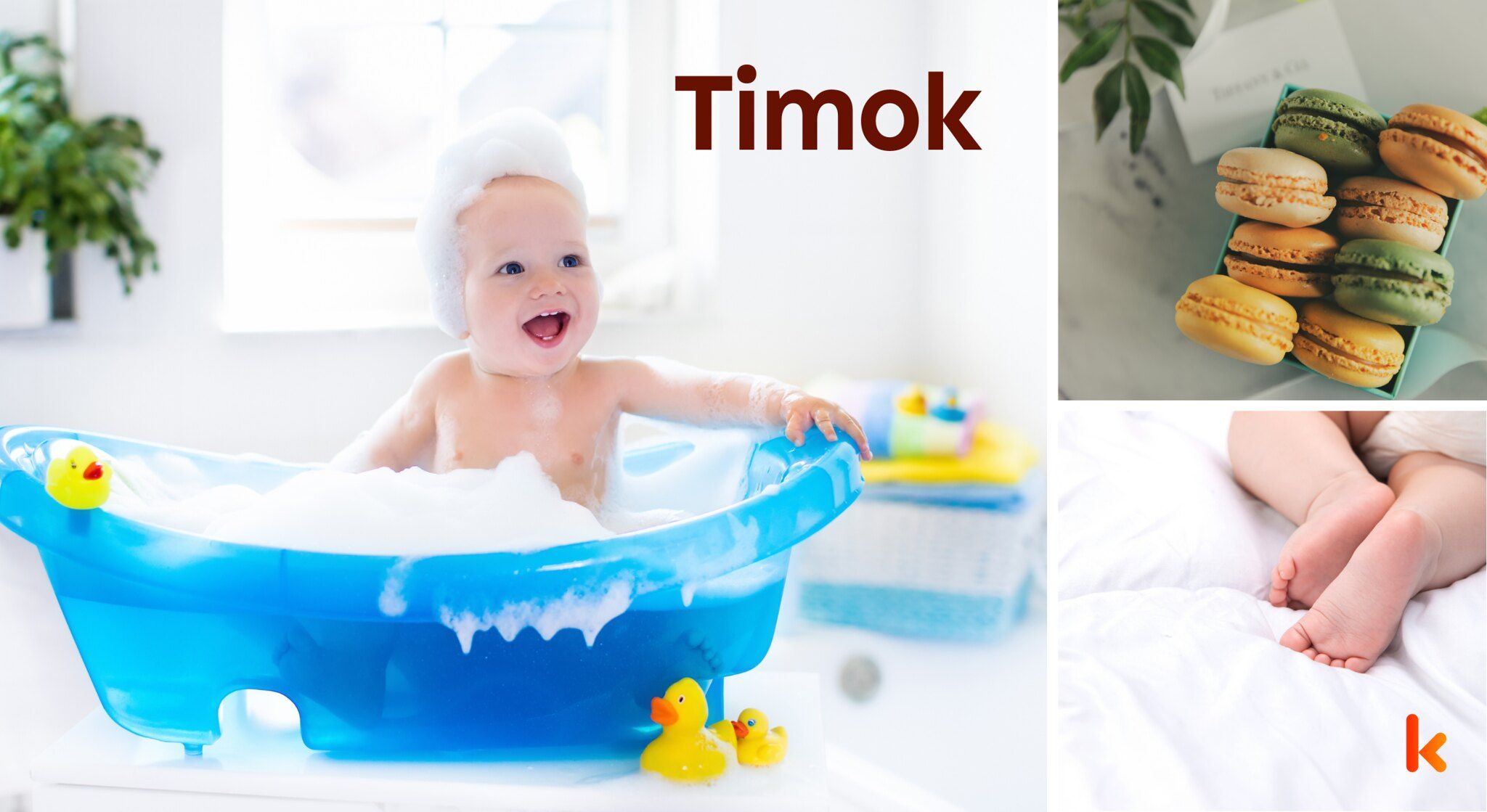 Meaning of the name Timok