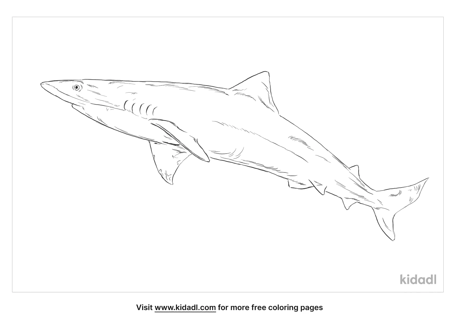 Tope Shark Coloring Page