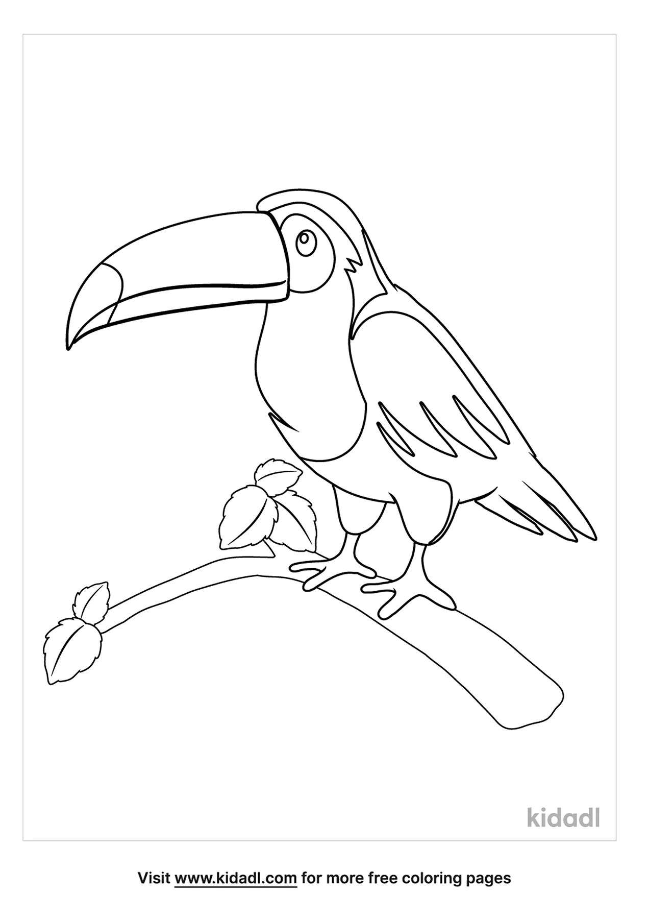 rainforest toucan coloring page