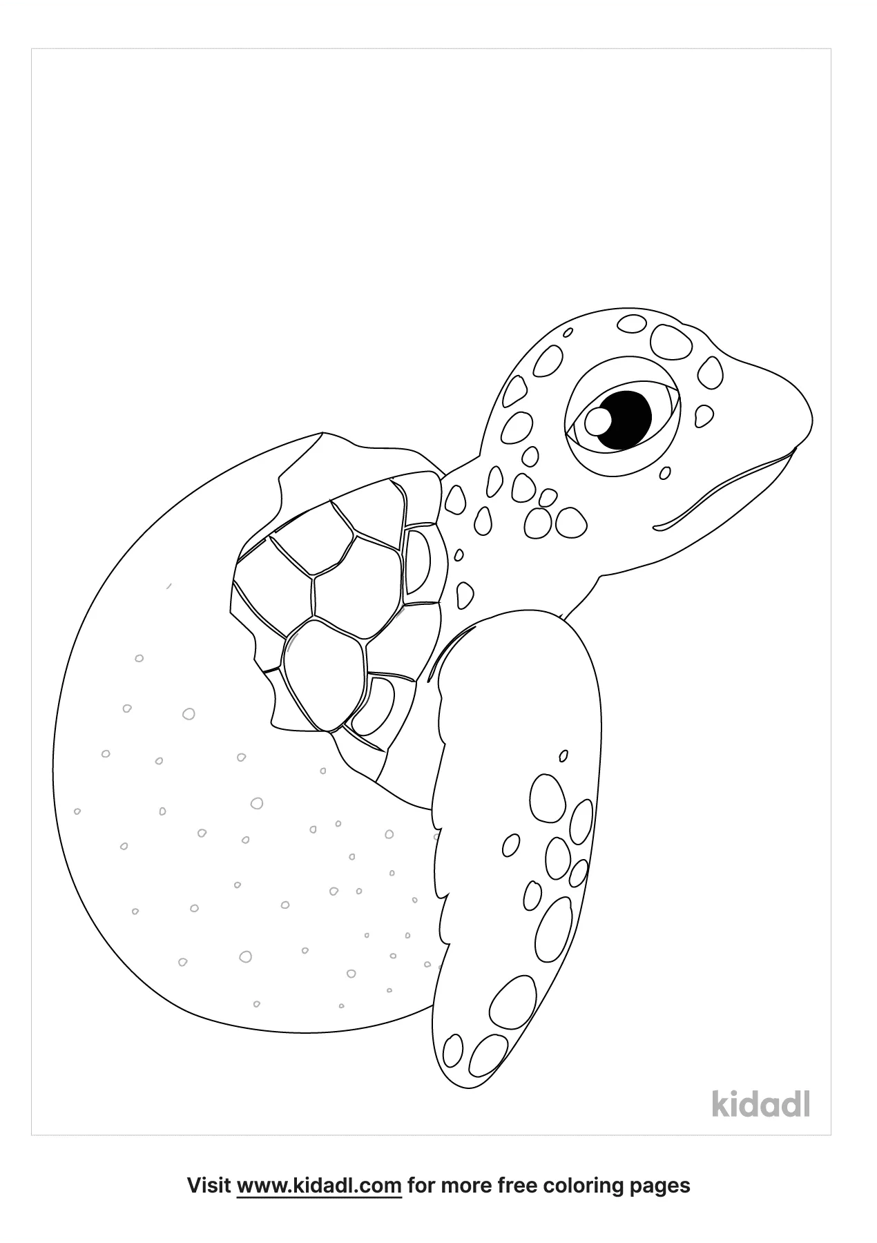 Turtle Eggs Coloring Page