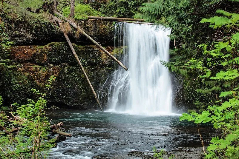Some scenes of the movie were shot at Silver Falls State Park