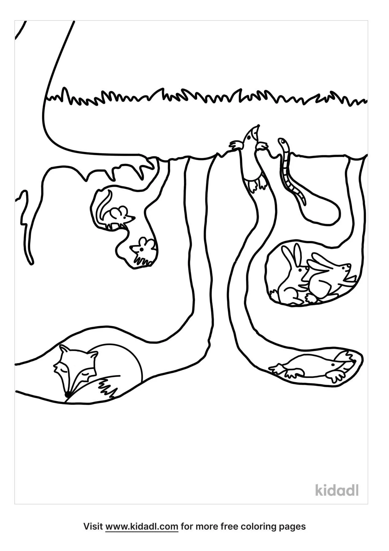 Free Underground Animals Coloring Page | Coloring Page Printables | Kidadl