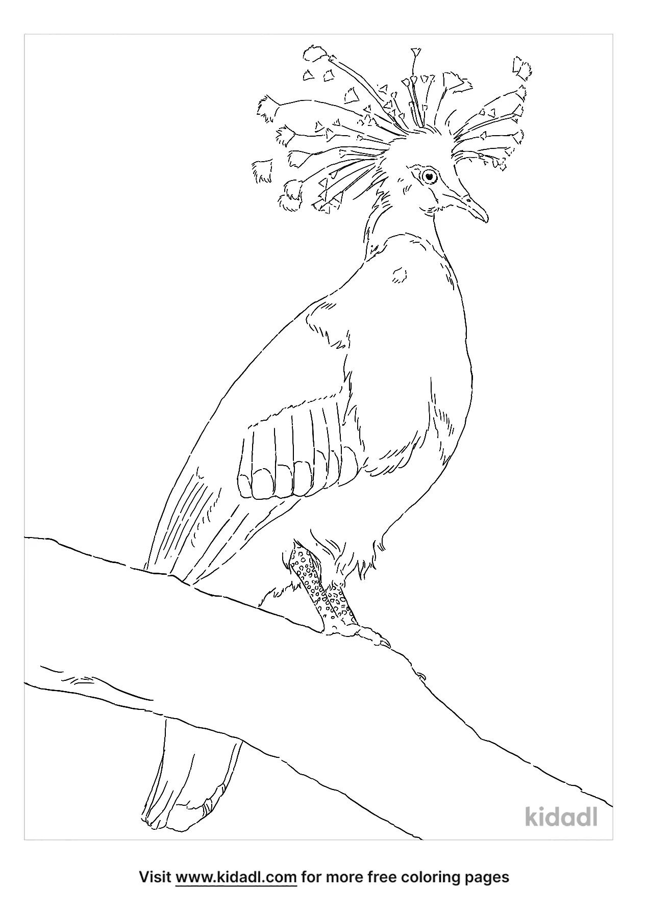 Victoria Crowned Pigeon Coloring Page