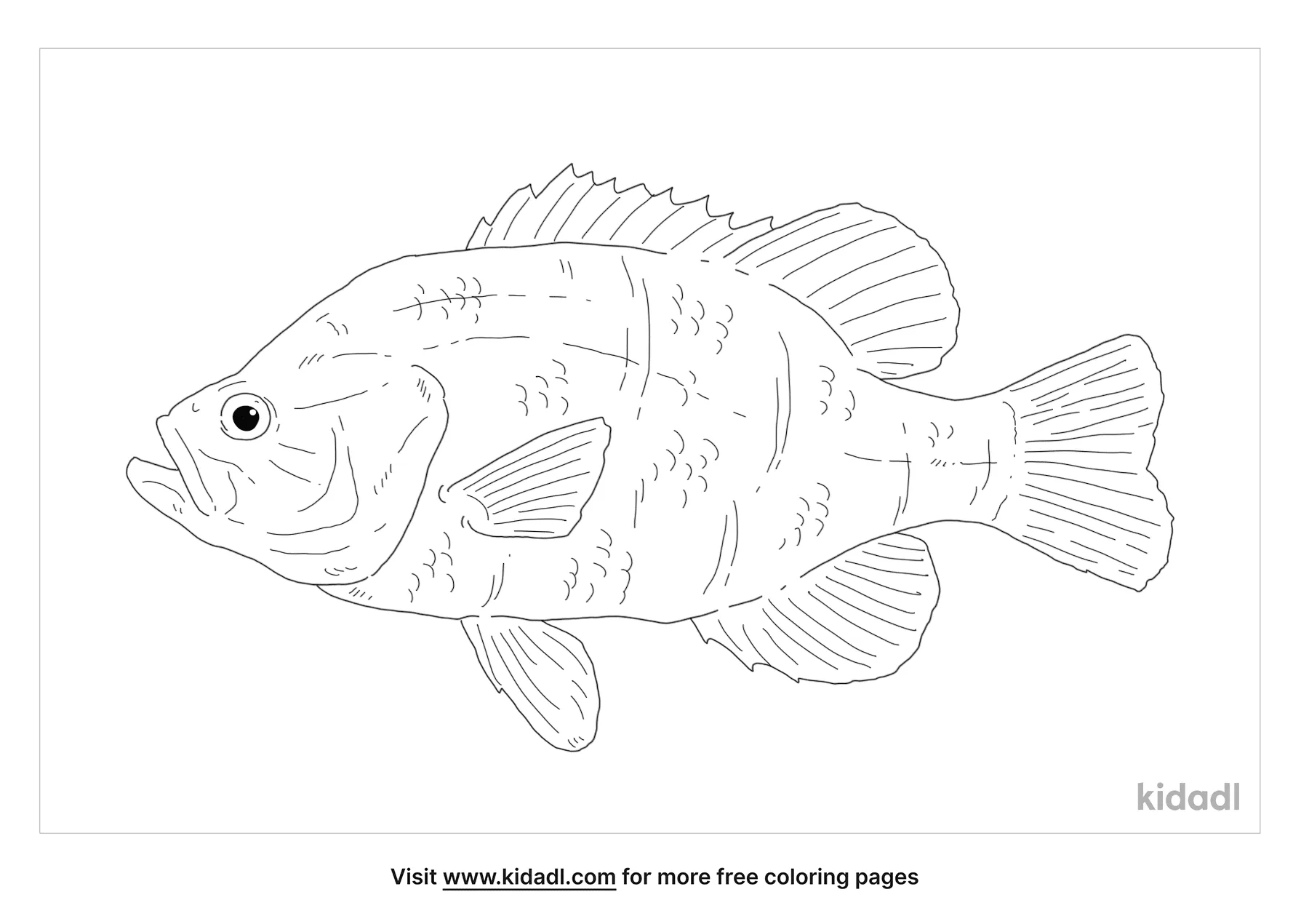 Warmouth Coloring Page