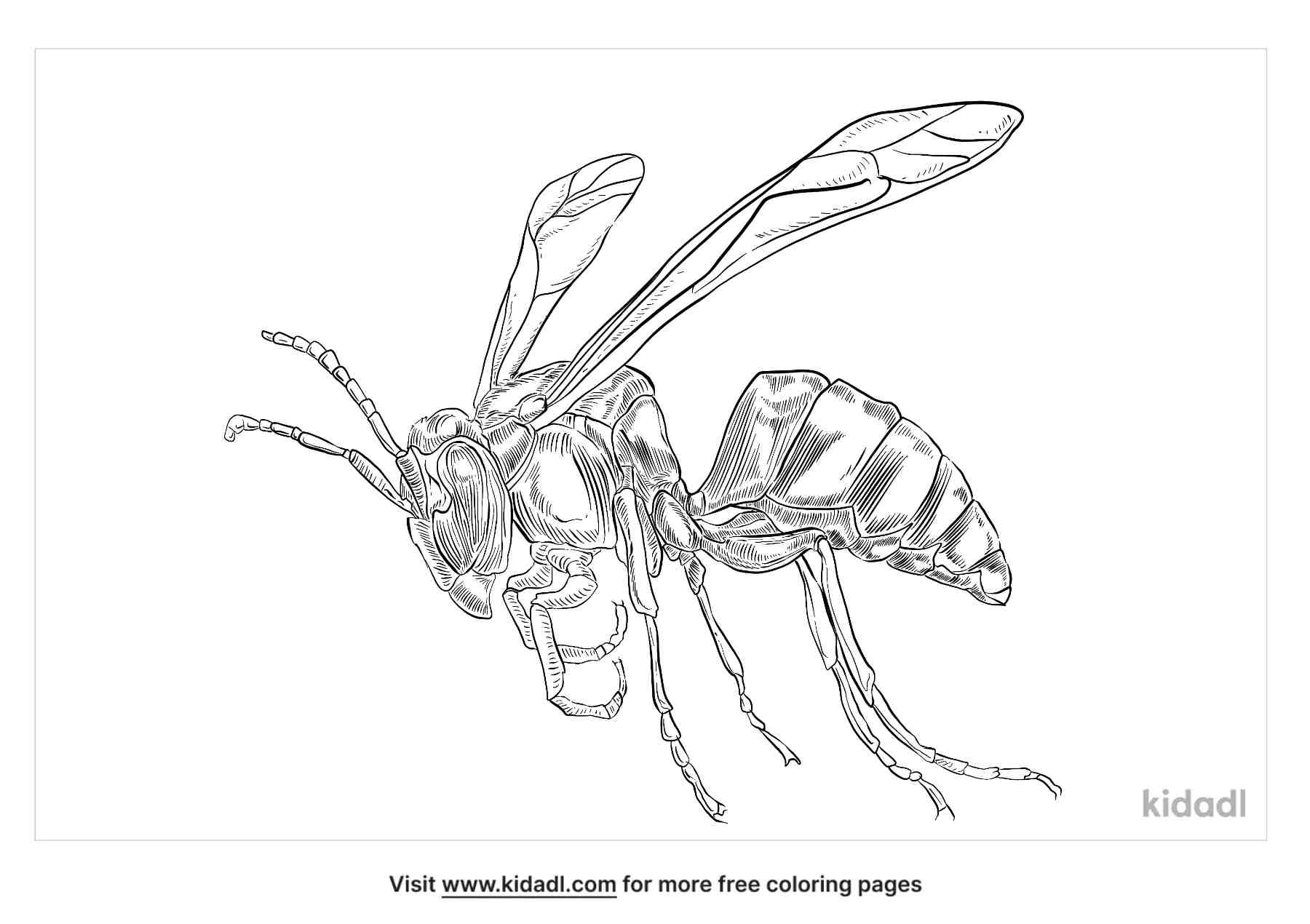 coloring page that have wasp image