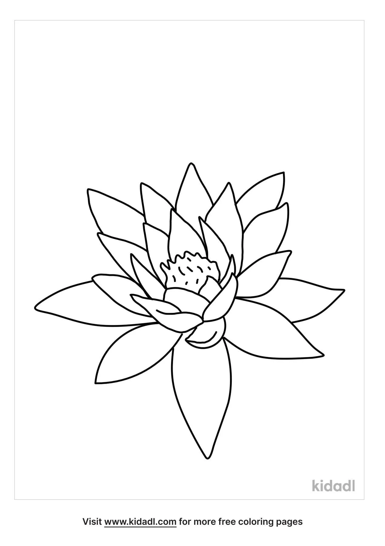 water lily outline