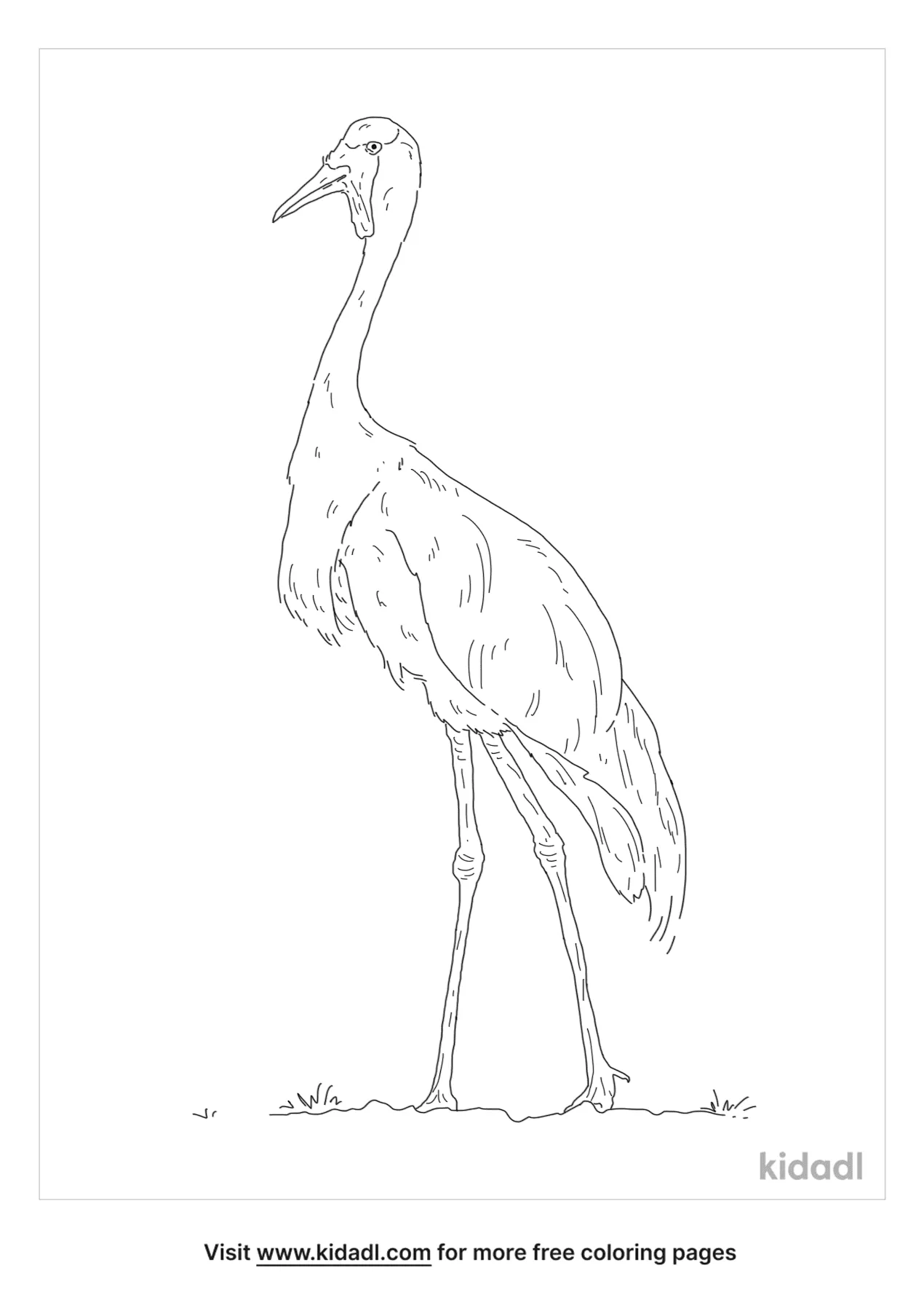whooping crane coloring pages