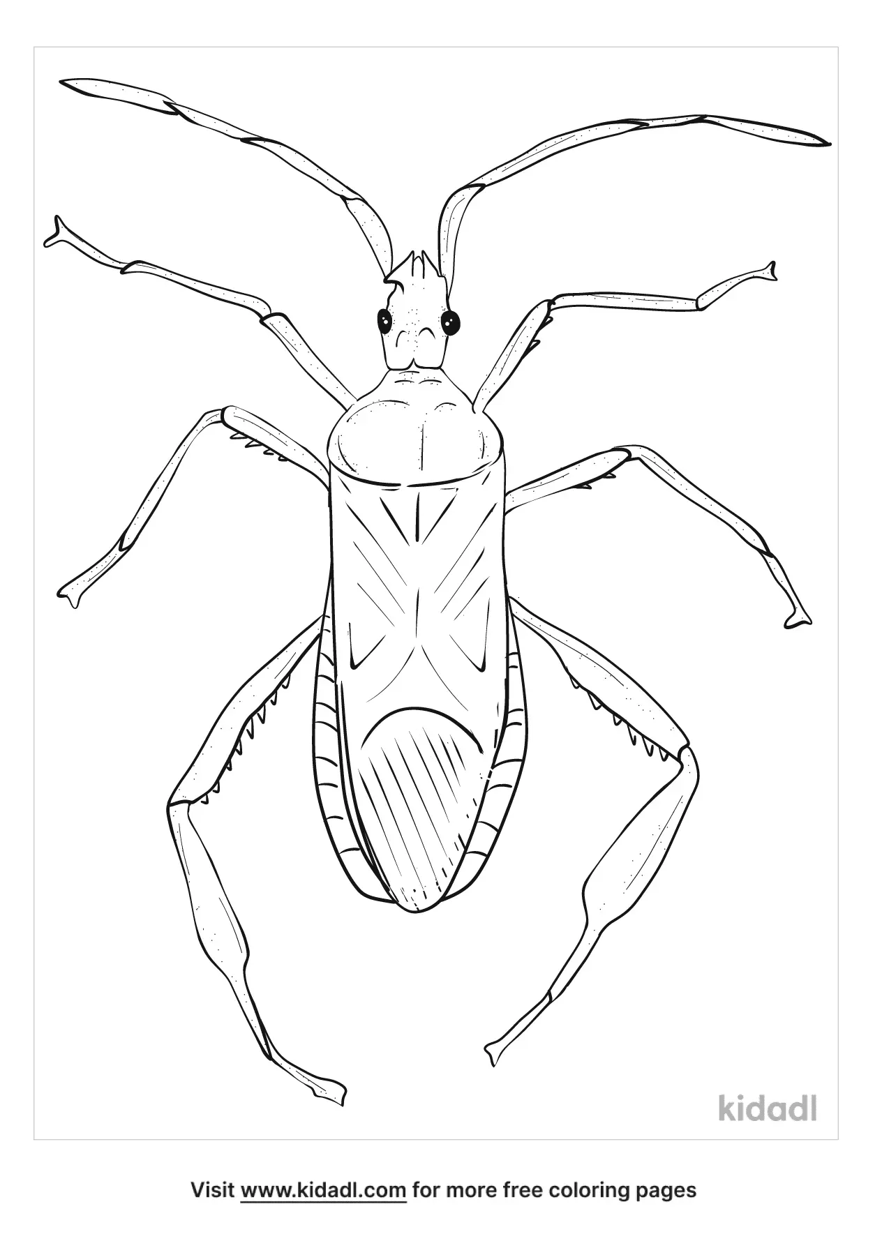 Termite Coloring Page | Free Bugs Coloring Page | Kidadl