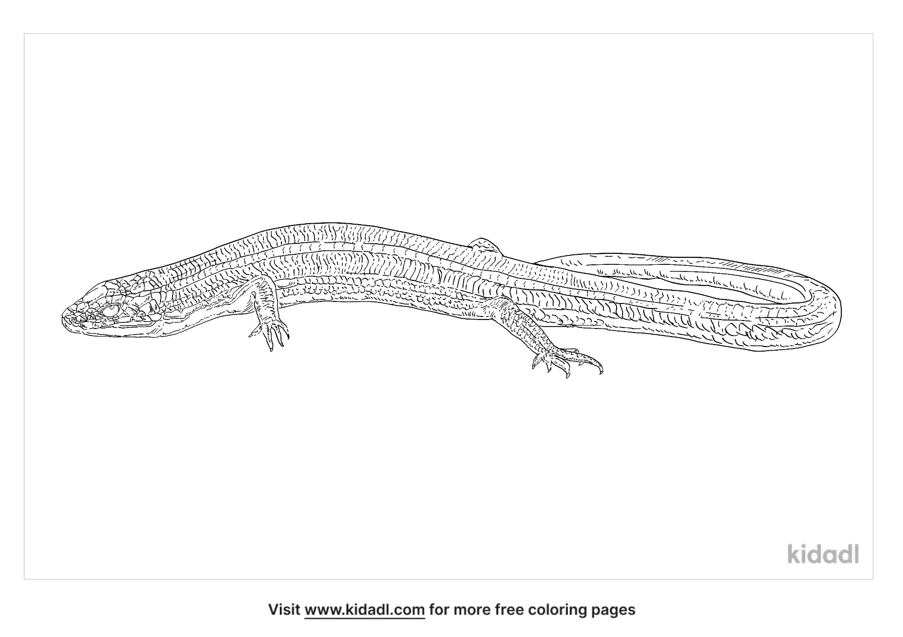 coloring pages skinks