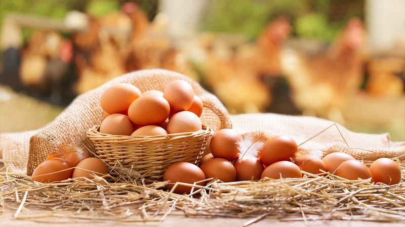 Basket of chicken eggs on a wooden table.