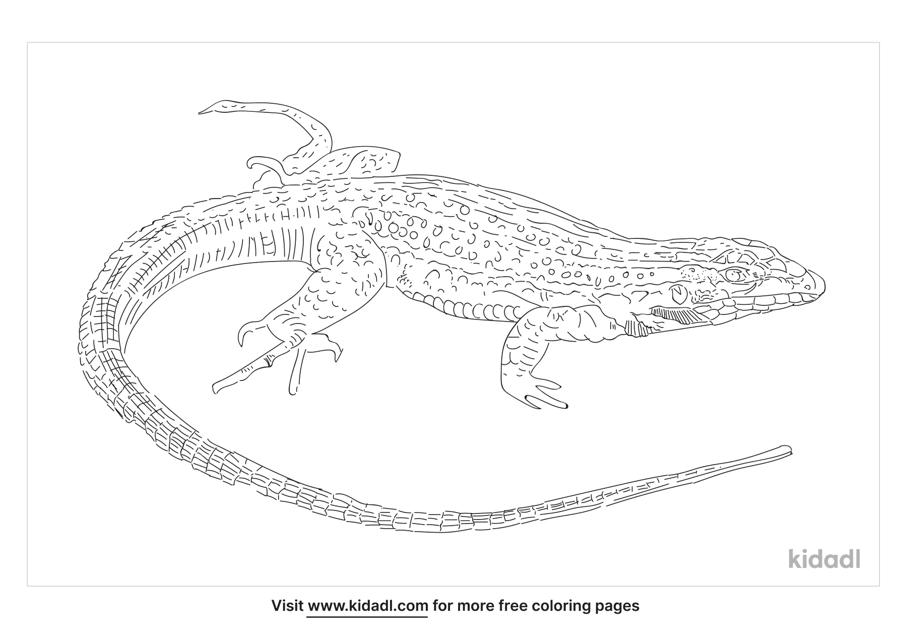 Whiptail Coloring Page | Free Sea Coloring Page | Kidadl