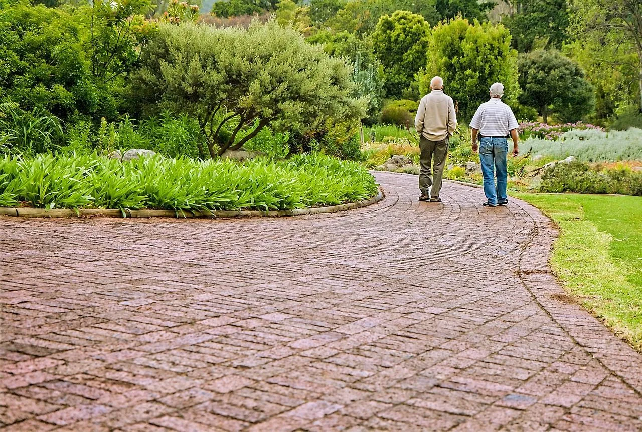 Fall prevention programs help you to make sure that your dear ones are safe.