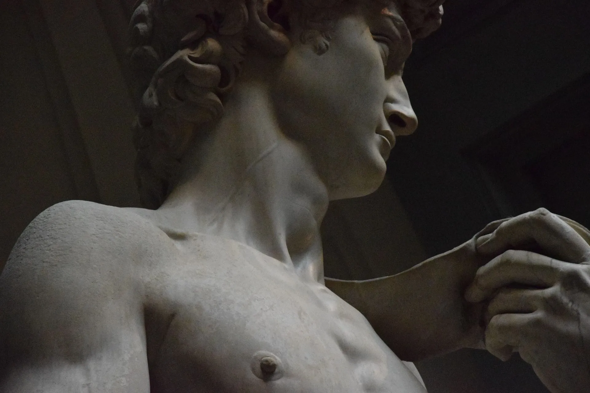 There are various replicas of David all around the world but none has come close to the one by Michelangelo.