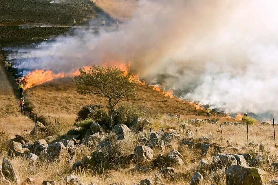 Wildfire emits huge quantities of smoke