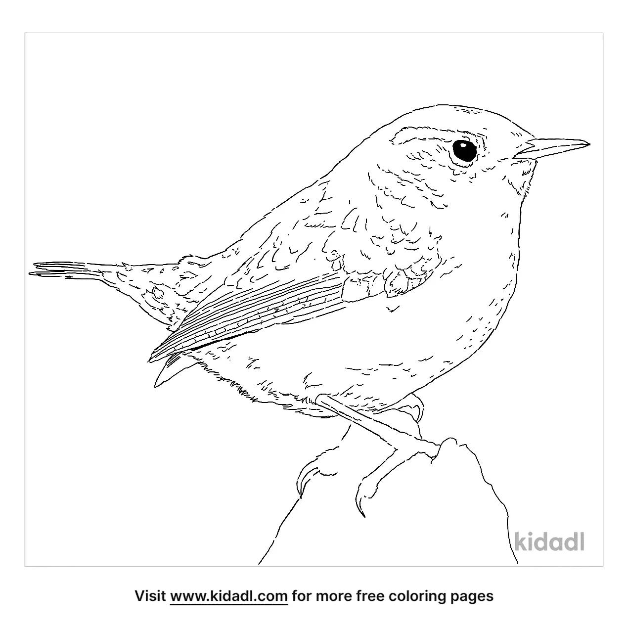 Waxwing Coloring Page | Free Birds Coloring Page | Kidadl