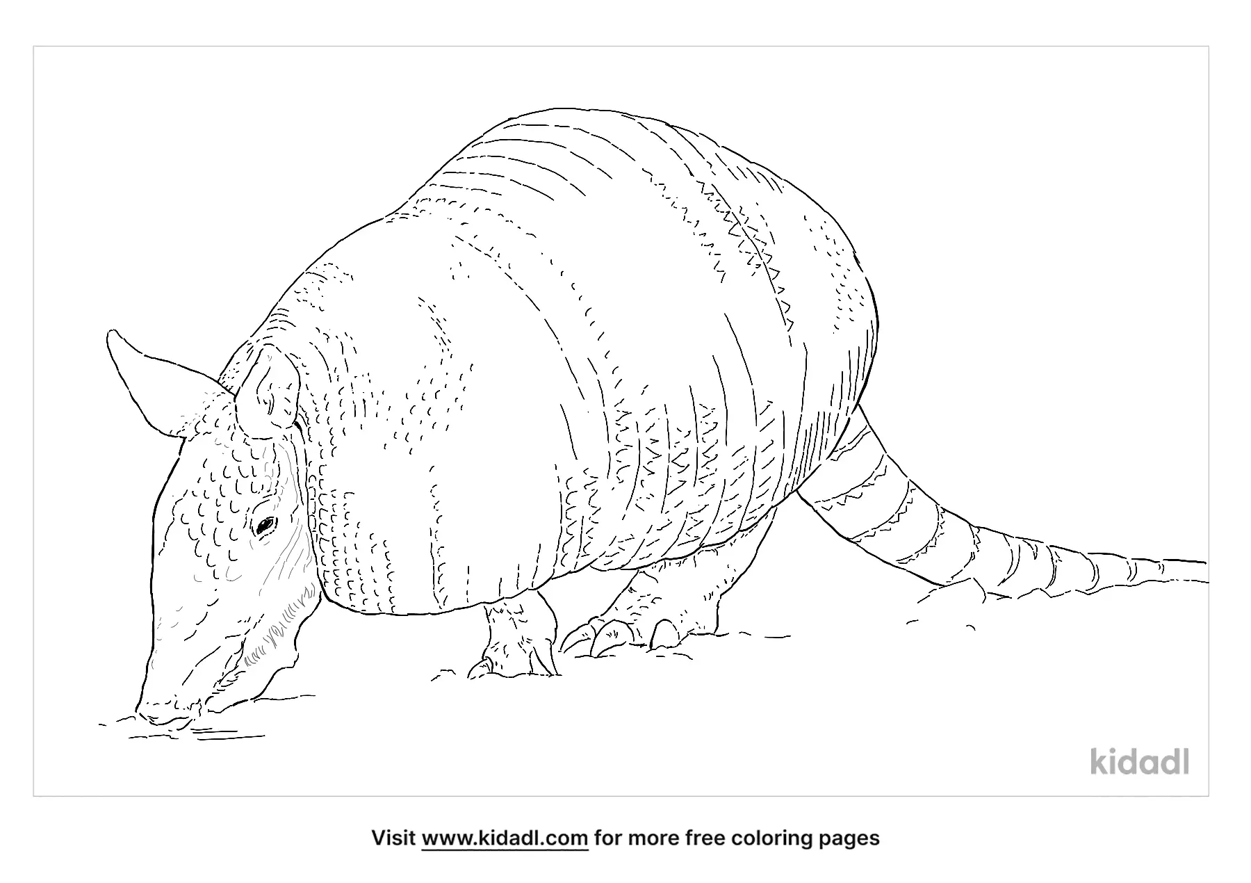 Eastern Woodrat Coloring Page | Free Mammals Coloring Page | Kidadl