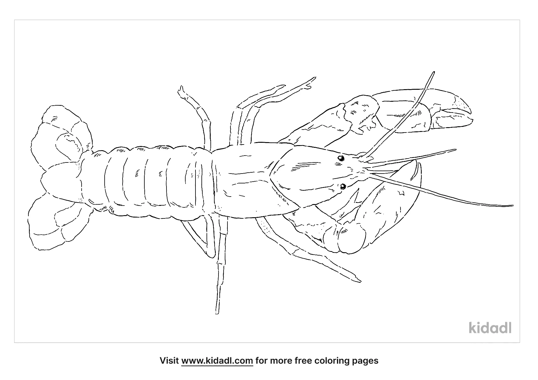 Yabby Coloring Page