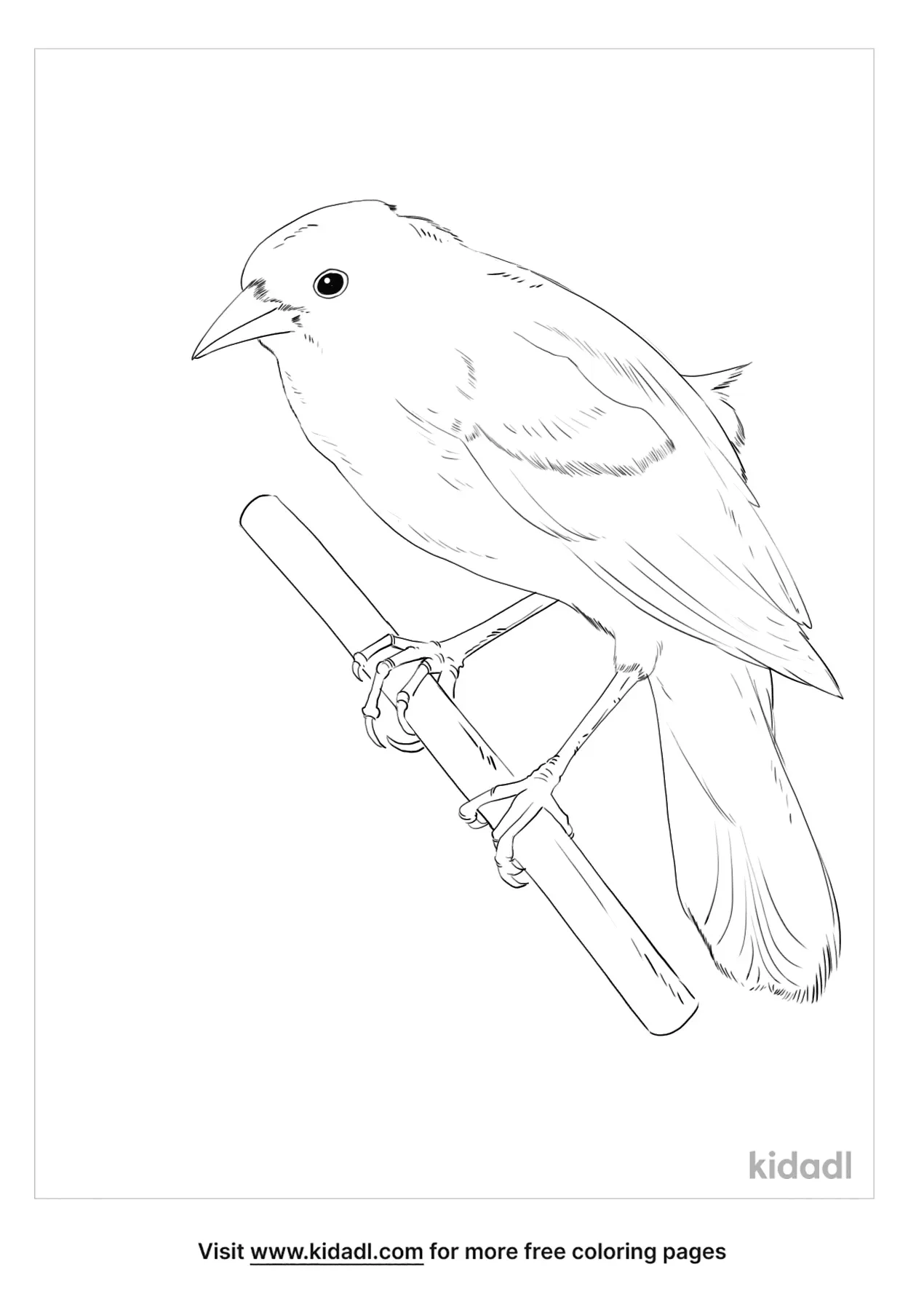Black-Capped Lory Coloring Page | Free Birds Coloring Page | Kidadl