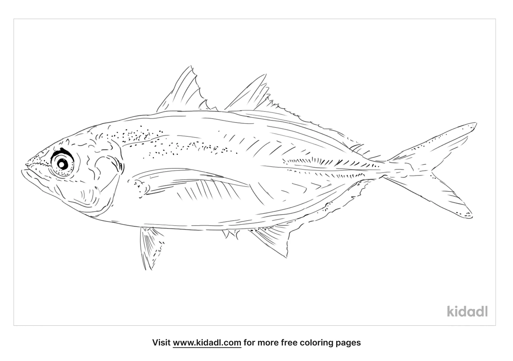 Yellowtail Scad Coloring Page